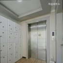 미솜하우스