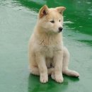 백진주 이미지