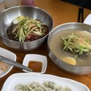 청양냉면 | 맵찔이도 홀려버린 대전냉면맛집, 전민동 ‘장가냉면’ 솔직후기