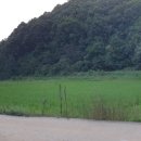 경매입찰 및 부동산 자산관리 이미지