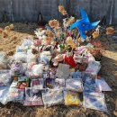 (유) 정인 이미지