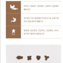 델리캣 Daum카페