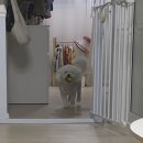 [일상] 8월 넷째주