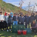 영덕군 농업기술센터 이미지