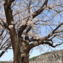 구경식당 이미지