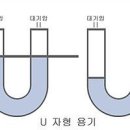 12홍현준 다섯번째 리포트입니다. 이미지