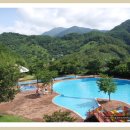 서지농원 이미지