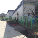 장성 태양광발전소 이미지