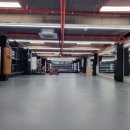 대전유성 복싱클럽 이미지