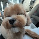 (주)대우건설 | D. 시간 순삭 .. 🫠🫠