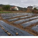 곡성-245 이미지