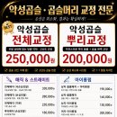 스타일리스트 서연