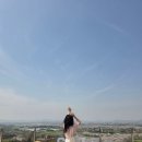 광경목장 | 봄나들이 명소. 서산한우목장웰빙산책로, 벚꽃비가 내리더라