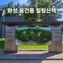 그늘 가득해 시원한 화성 융건릉 산책, 고즈넉한 역사 속 가벼운 주말 드라이브 코스