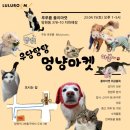 230415 우당탕탕 멍냥마켓/망원플리마켓/카페 시모어/비건식당 성미산알루/ 완벽했던 하루✨️