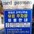 자작나무숲 스테이 이미지
