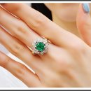 드비취일 이미지