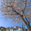 아가테하우스민박 | 아가테하우스 애견과의 특별한 여행지 찾기