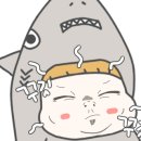 라화방 이미지