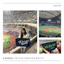 K타이거즈 최강태권도 | 전구단 응원가 메들리 하고온 K-BASEBALL 체코전 첫 날 후기, 고척스카이돔 3층지정석 315블록 D열 좌석...