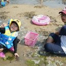 모래알펜션 이미지