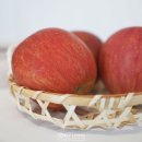 꿀C | 겨울엔 꿀? 청송사과 부사사과 달콤한 후기