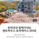 포리에이스 네이버블로그