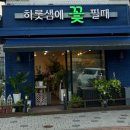 하롯샘에꽃필때