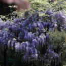 김포다도박물관 이미지