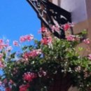 나도 유튜버  ( 유튜버 되기 ) 이미지