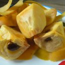 김종출농장 이미지