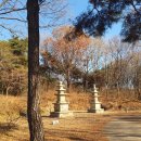 나옹화상. 청산은 나를 보고 - 원주 영전사지 보제존자 사리탑