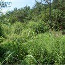 양강면사무소 이미지