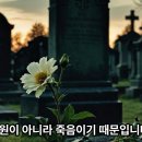 무실동 연중 6주일 강론 이미지