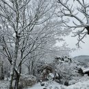 혼불문학관 이미지