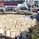 박지호농장 이미지