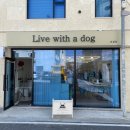 견생공방 이미지