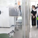 반려마루 동물병원 이미지