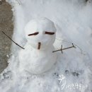 데굴데굴 이미지