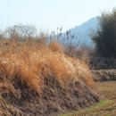 운곡1구 이미지