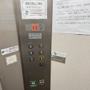 네일살롱드리 | [나고야역 Sacco] 나고야에서 속눈썹펌 받기(핫토페퍼 예약)