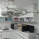 석동물병원 이미지