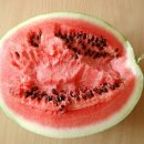 수박 이미지