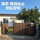 제주 하도리 독채숙소 &#39;하도 방학&#39; 후기