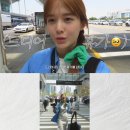 먹방돼지