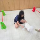 한들A 티스토리
