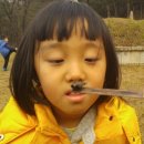 음봉어린이집 이미지