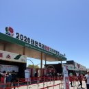 군민 힐링콘서트 | 태안국제원예치유박람회(26.4. 25 ~ 5. 24) 어린이날 방문 후기,티니핑 싱어롱시간변경(17개월 아기랑)