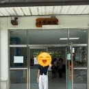 동강캐슬 | 🏞 병방치 스카이워크 &amp; 짚와이어 &amp; 레일바이크 체험기 (정선 2박3일 가족여행 1일차)
