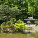 풍경속으로